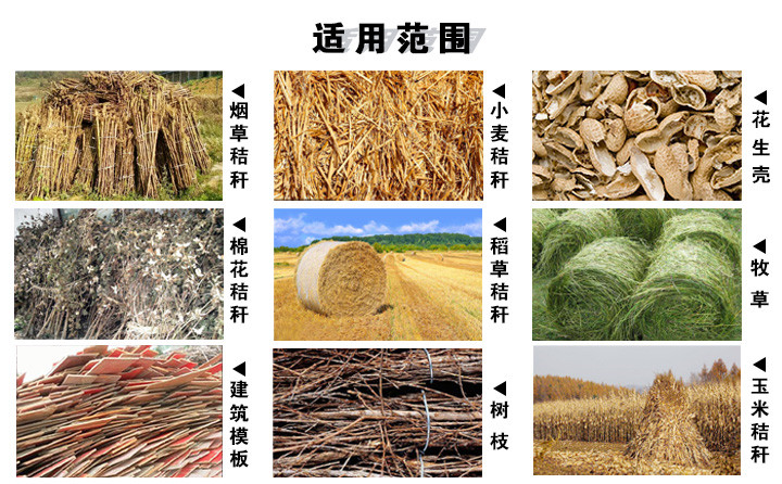 煙桿顆粒機原料：煙草秸稈、玉米秸稈、小麥秸稈等